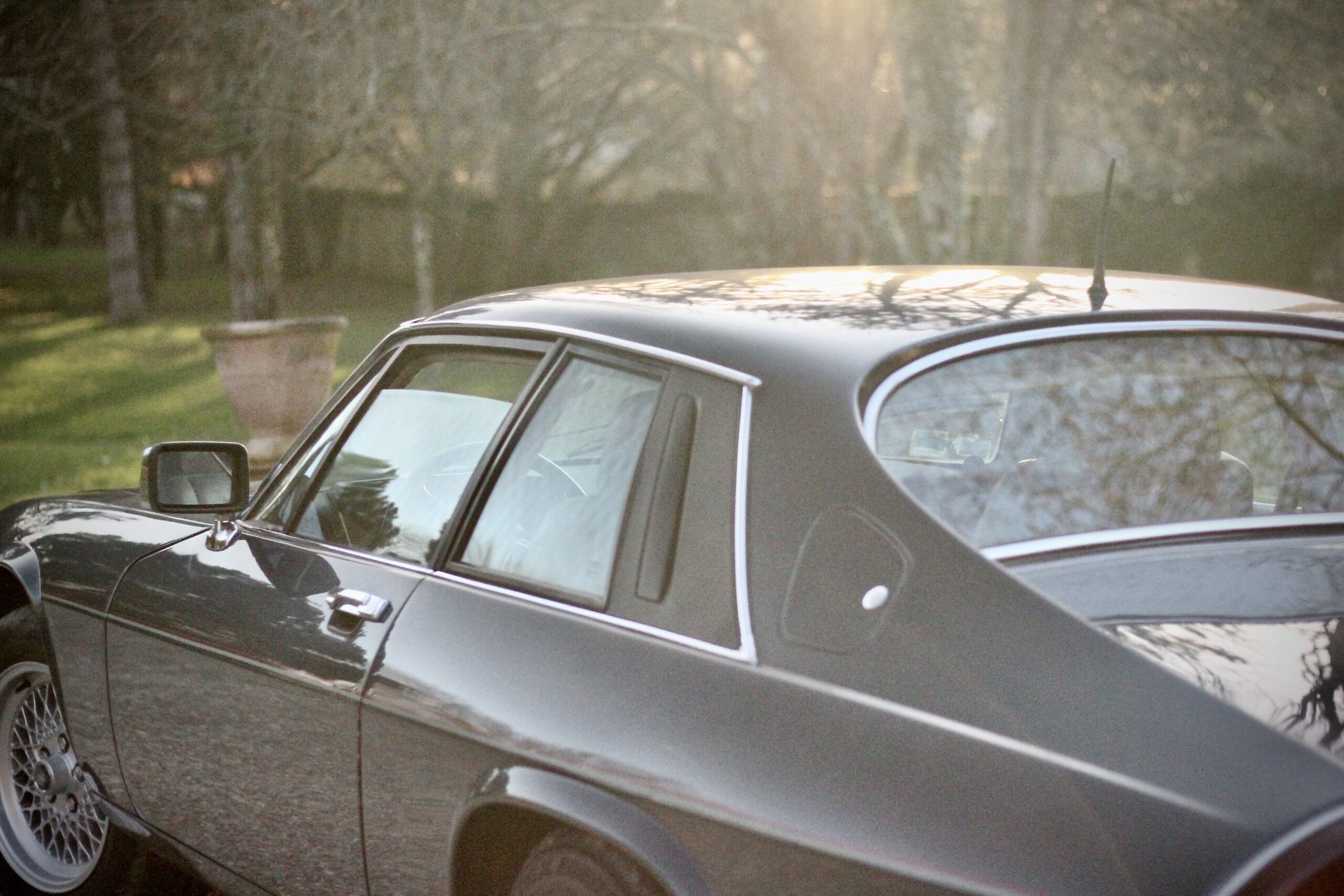 JAGUAR XJS V12