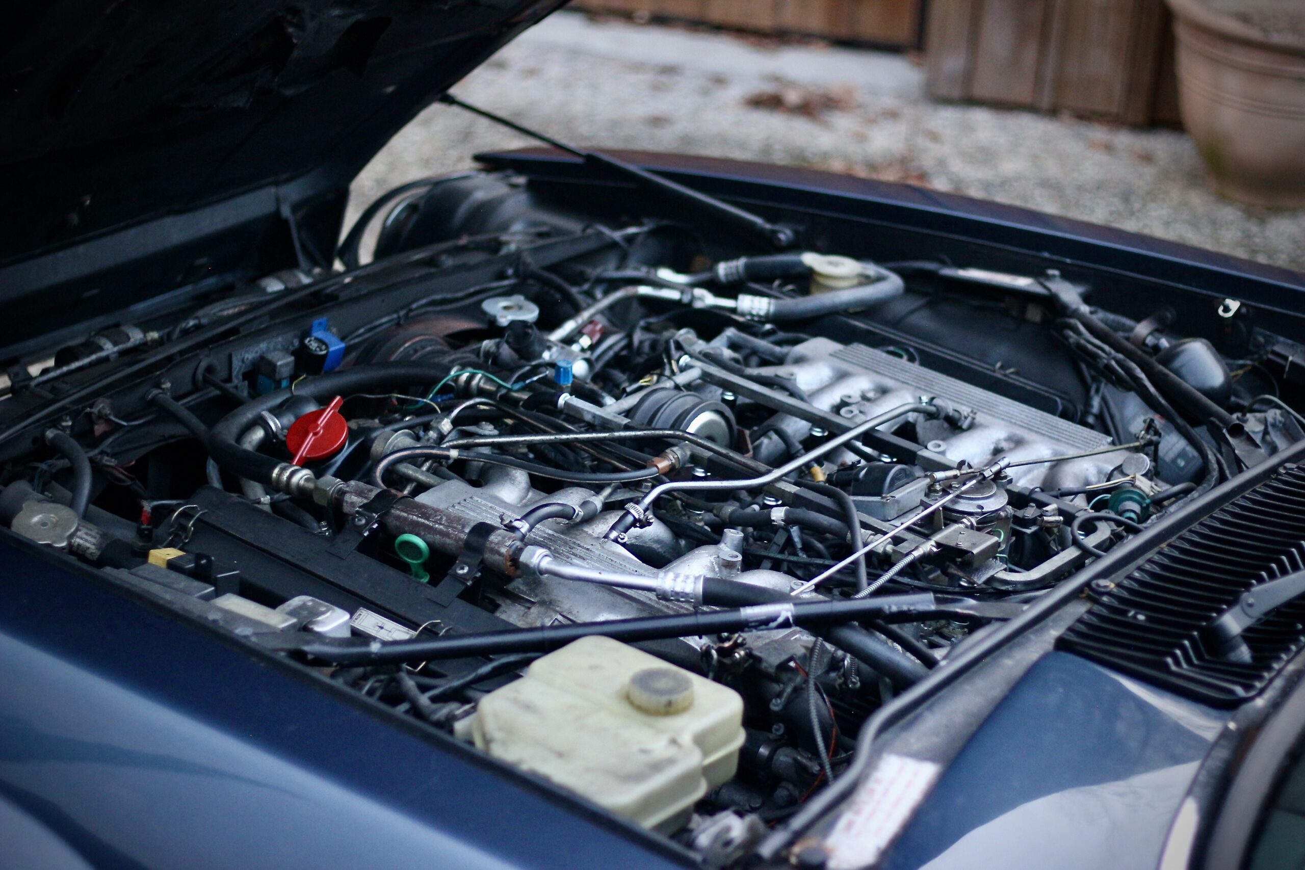 JAGUAR XJS V12