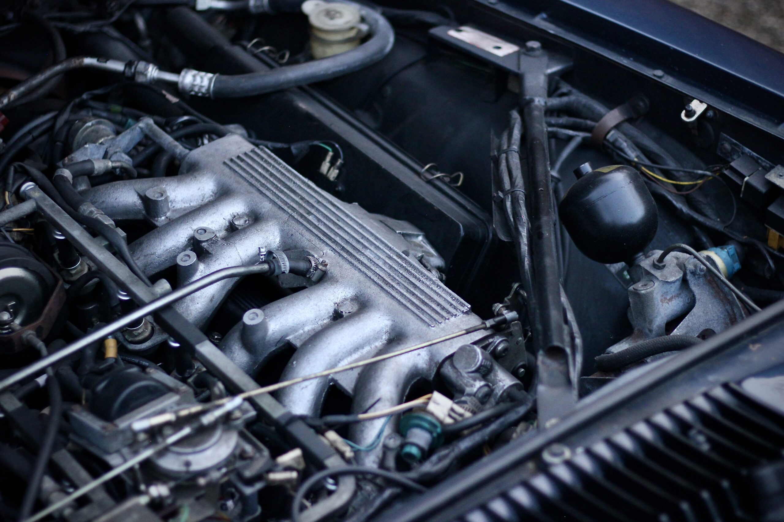 JAGUAR XJS V12