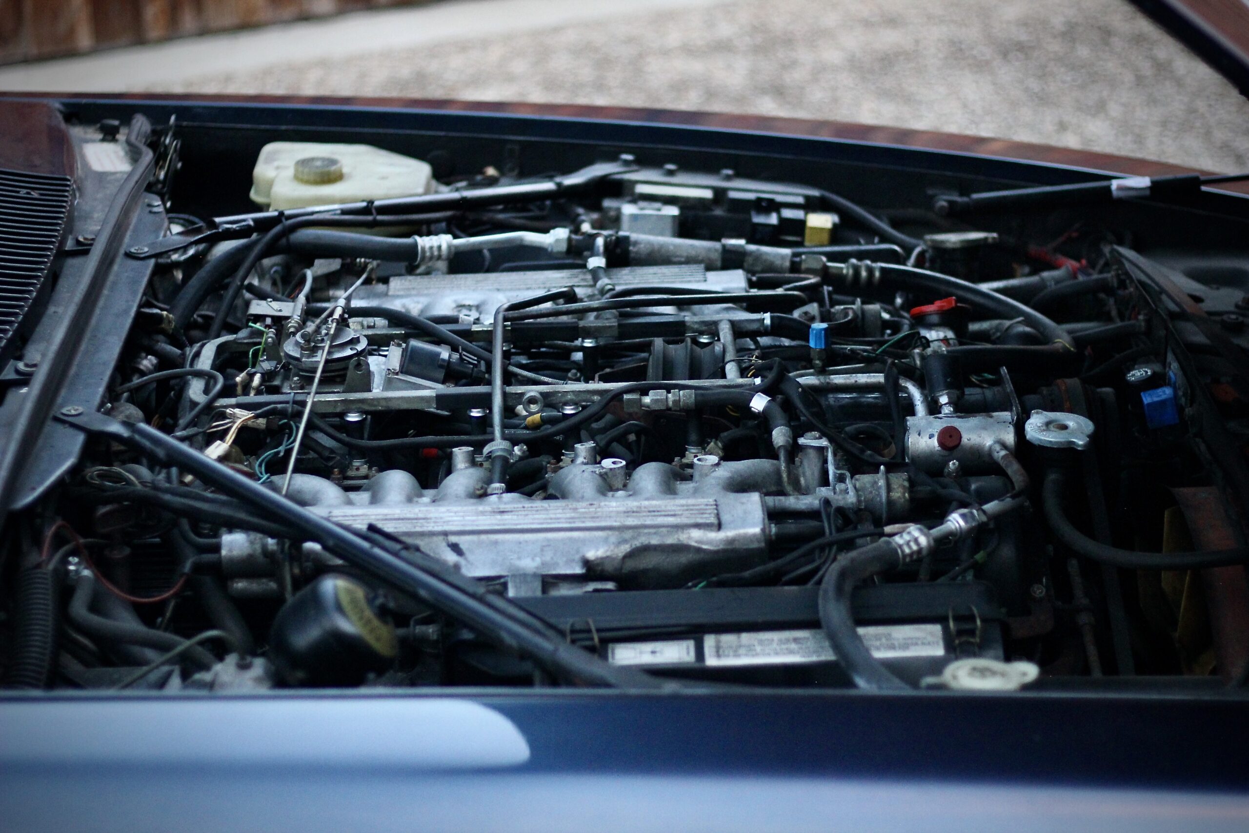 JAGUAR XJS V12