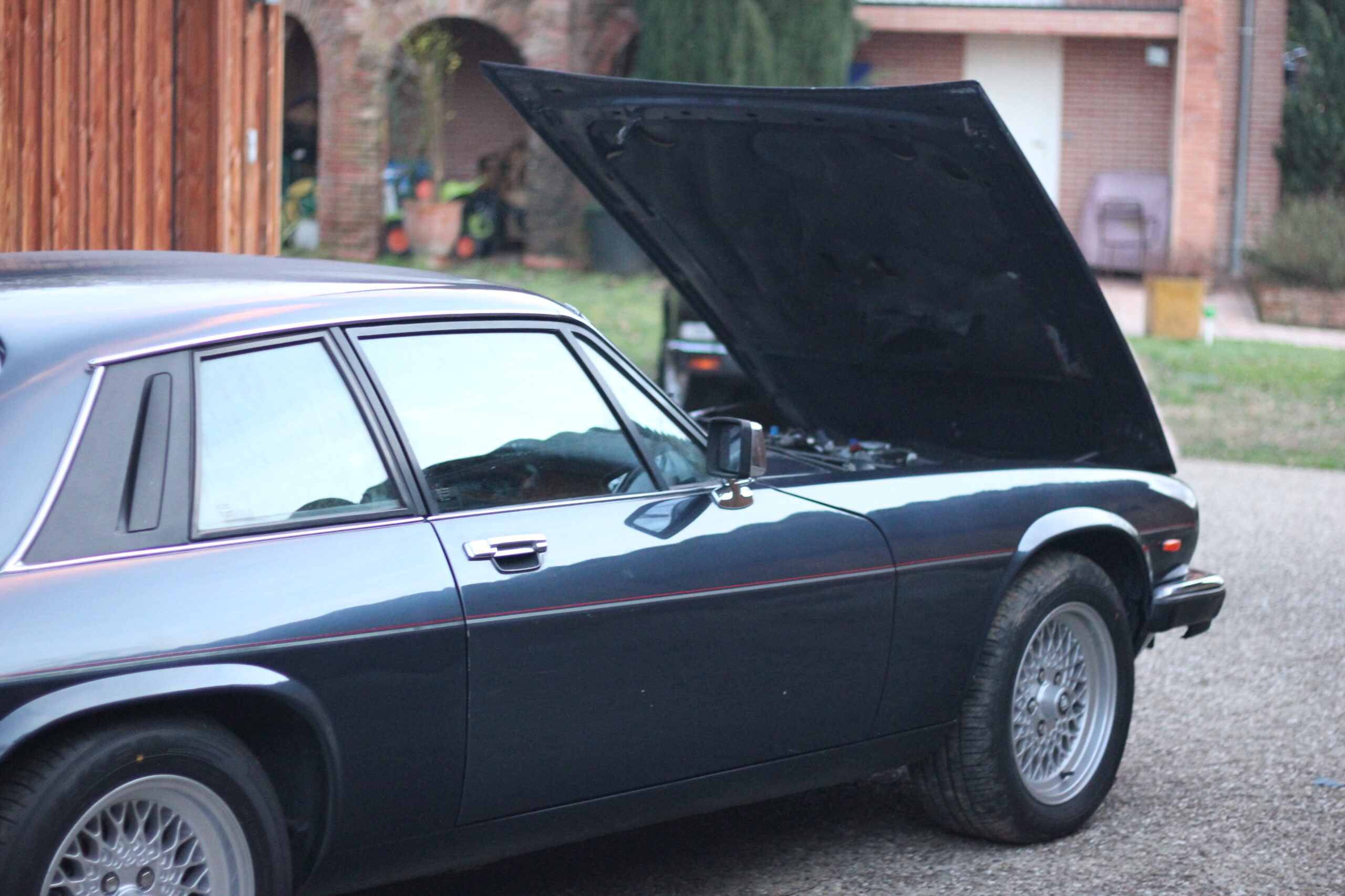 JAGUAR XJS V12