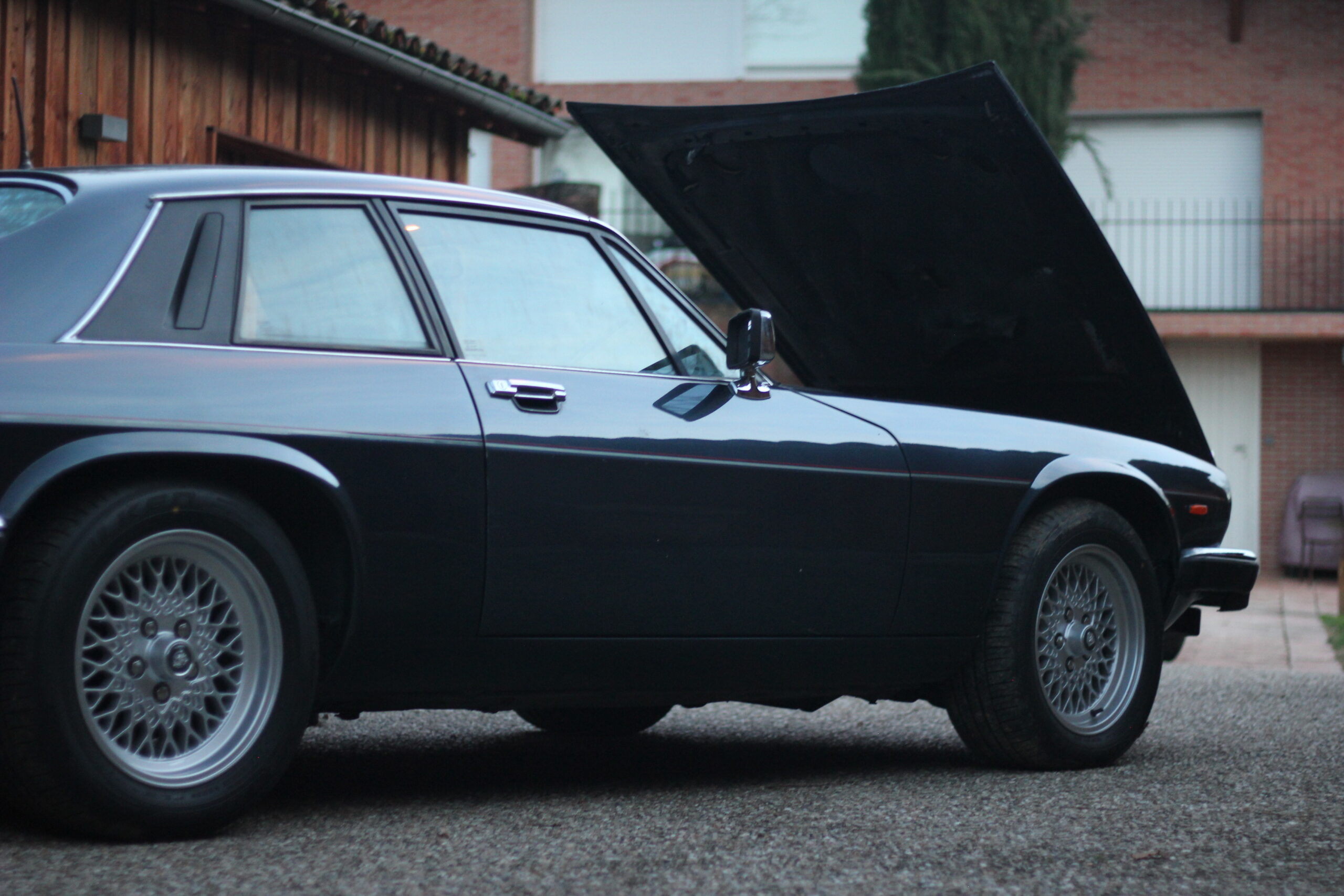JAGUAR XJS V12
