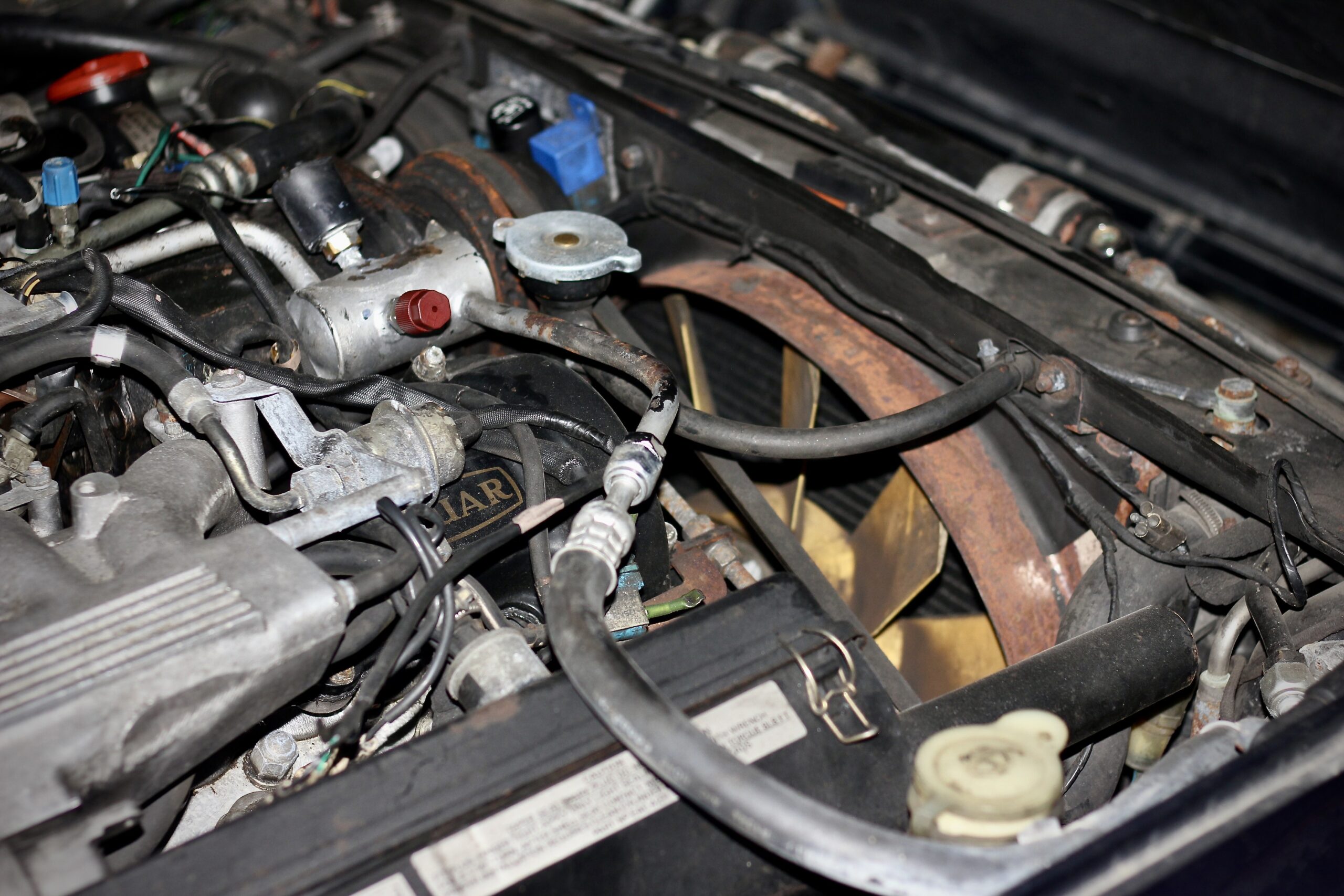 JAGUAR XJS V12