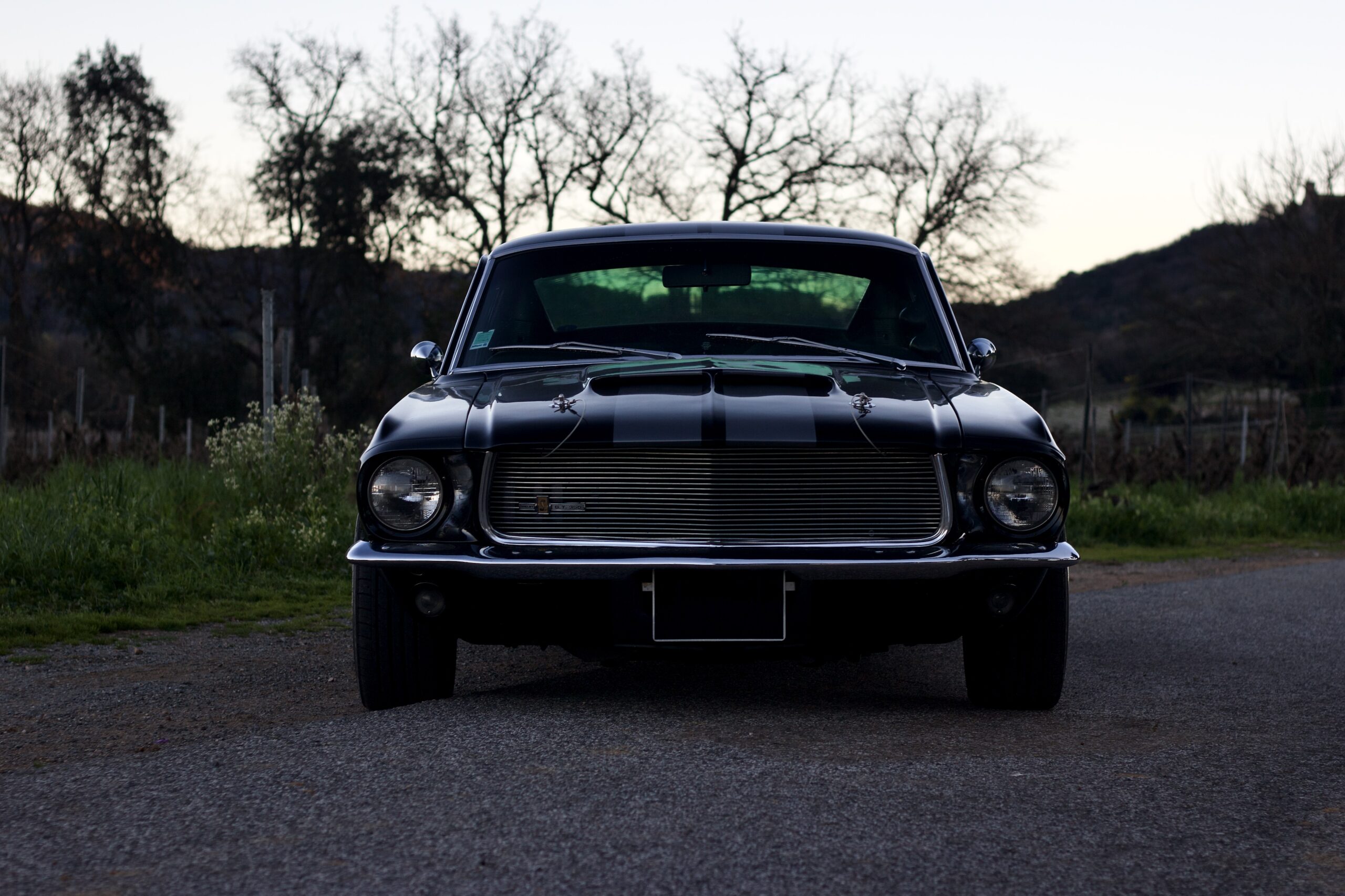 FORD MUSTANG GT350 REPLICA