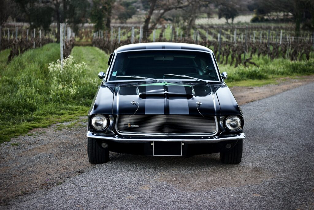 FORD MUSTANG GT350 REPLICA