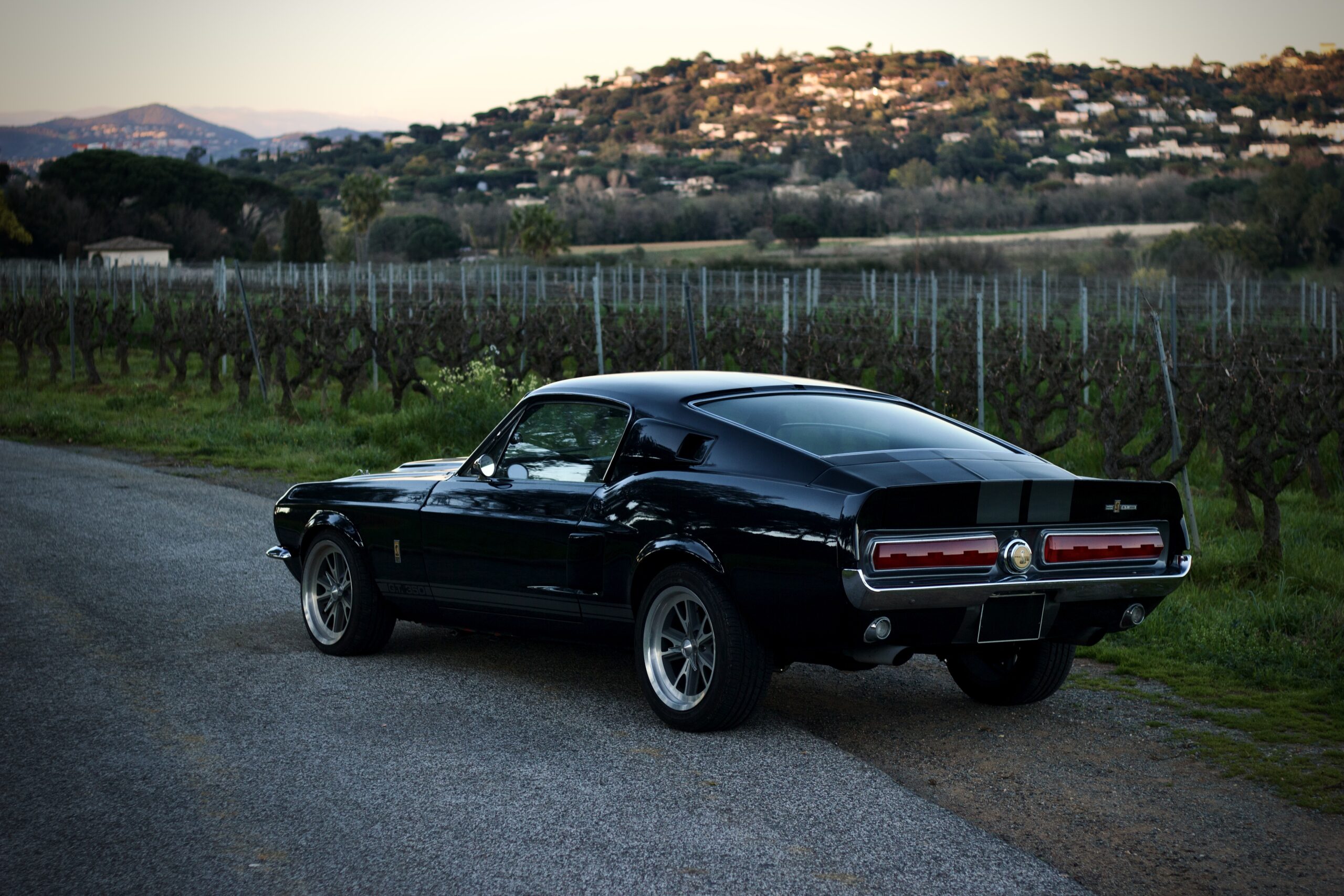 FORD MUSTANG GT350 REPLICA