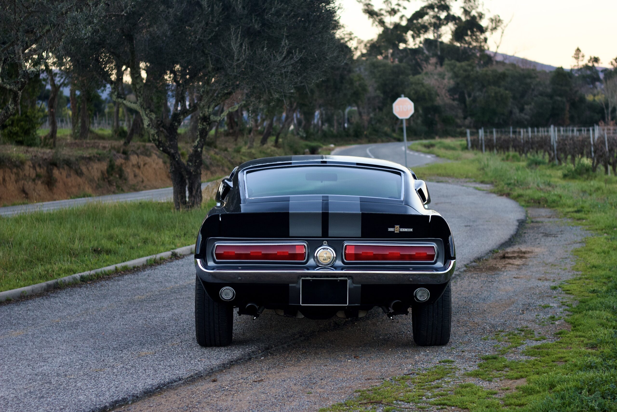 FORD MUSTANG GT350 REPLICA