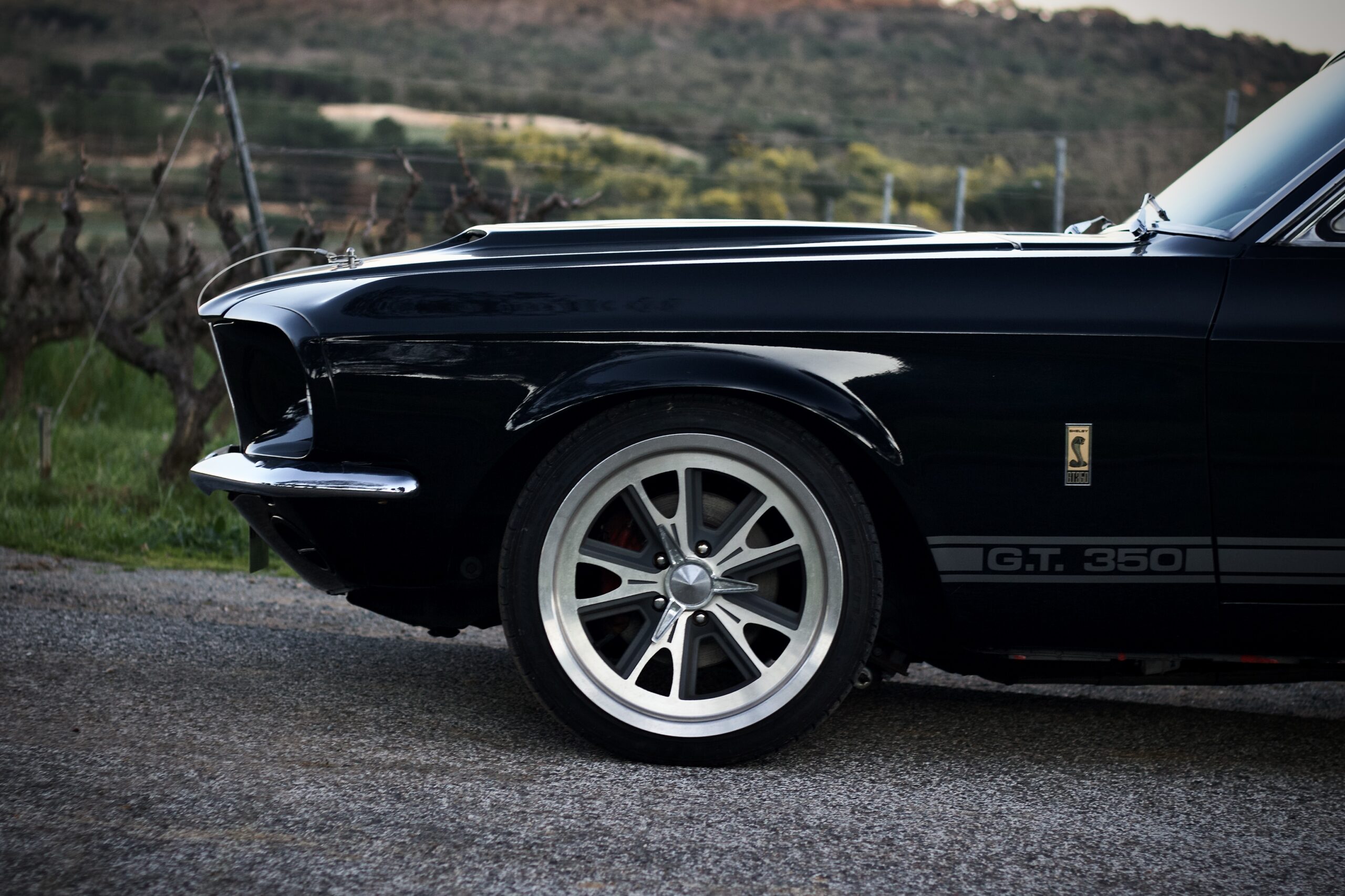 FORD MUSTANG GT350 REPLICA