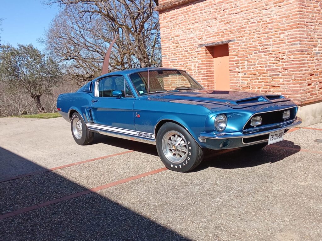 SHELBY GT500 KR