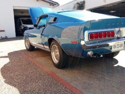 SHELBY GT500 KR