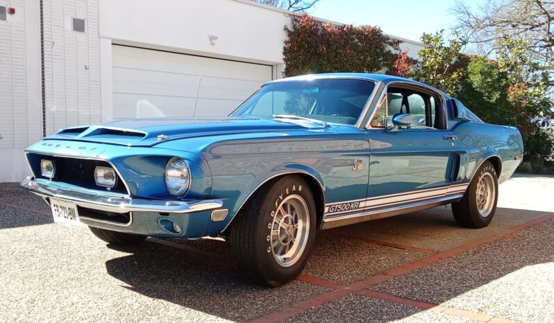 SHELBY GT500 KR