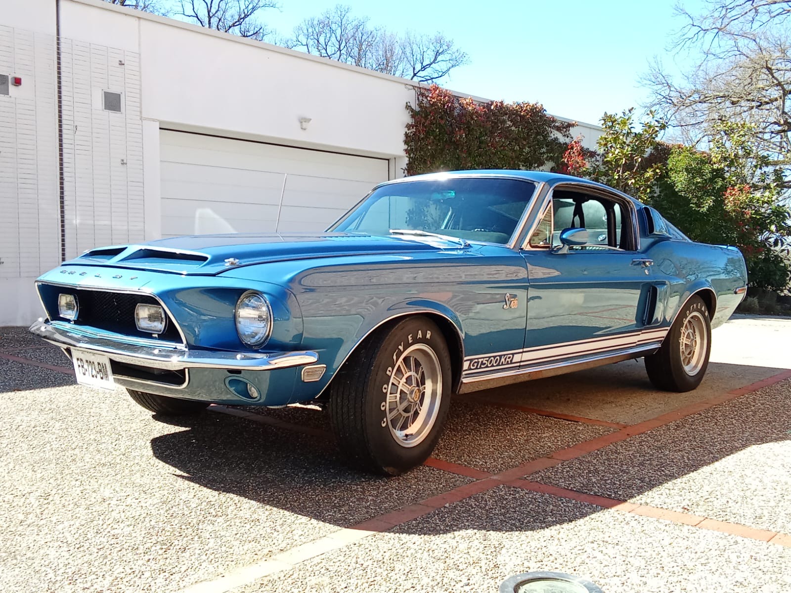 SHELBY GT500 KR