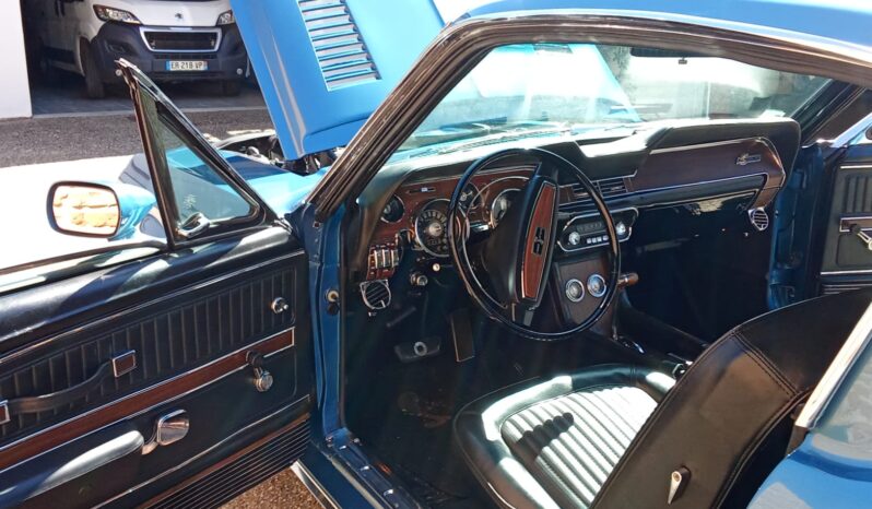 SHELBY GT500 KR