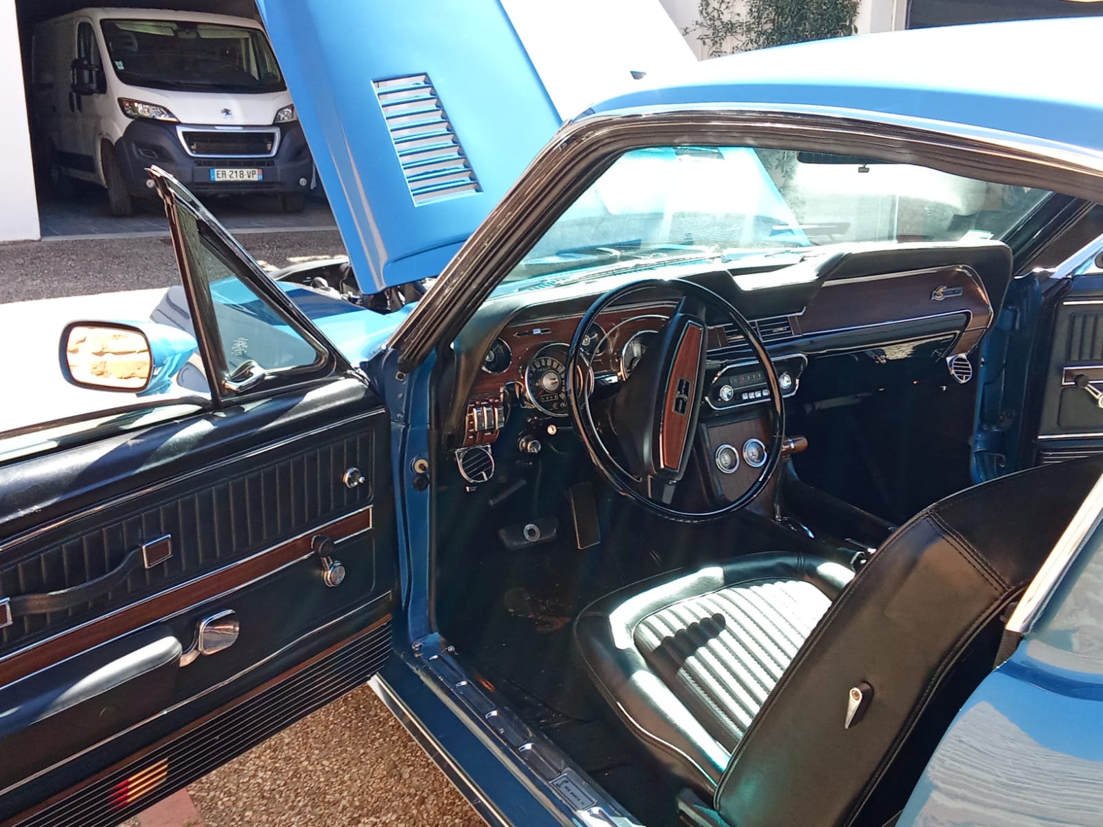 SHELBY GT500 KR