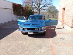 SHELBY GT500 KR