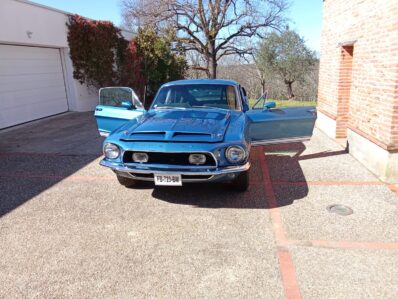 SHELBY GT500 KR