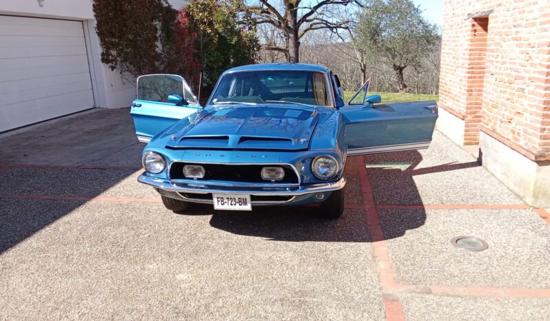 SHELBY GT500 KR