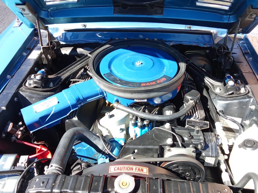 SHELBY GT500 KR