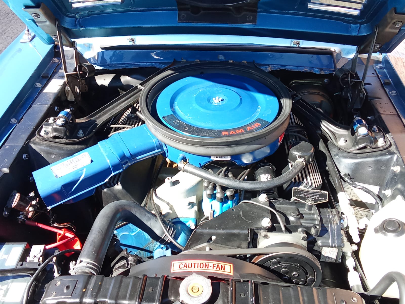 SHELBY GT500 KR